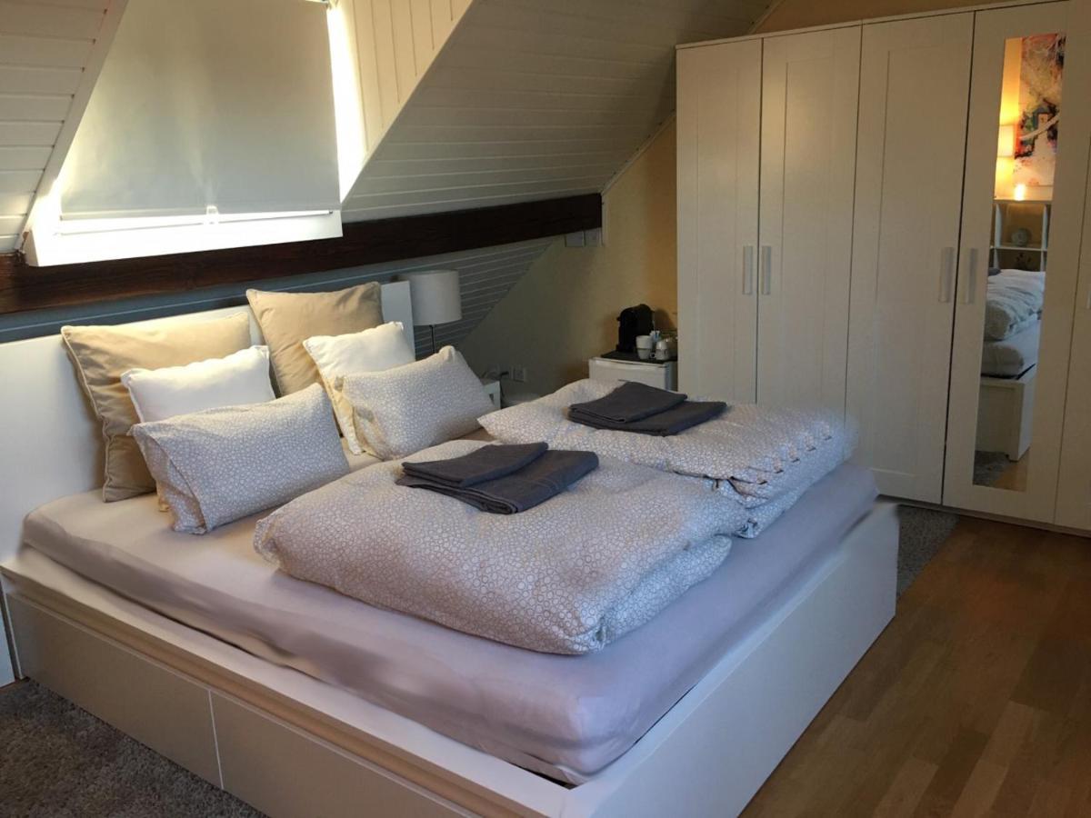 Cozy Attica - With Every Comfort - Berne Apartamento Liebefeld Exterior foto